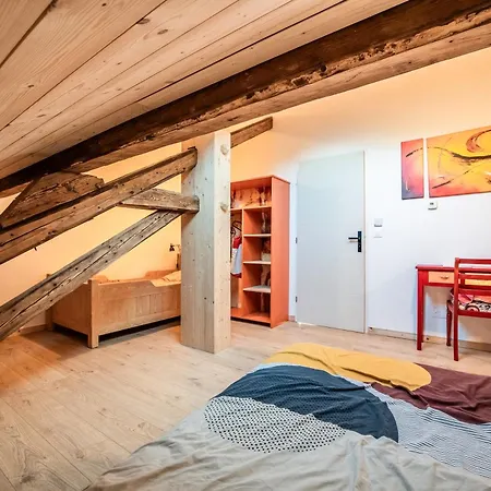 Apartment Accotinae